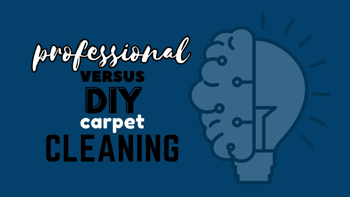 The Benefits of Regular Carpet Cleaning for a Healthy Home